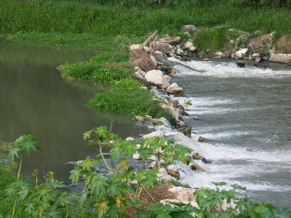 Consecuencias de la explotación descontrolada del río Tempsique, Costa Rica