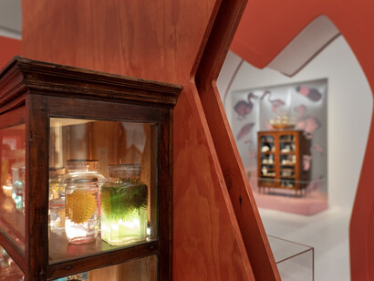 Microcosm – The world in a Wunderkammer, exhibition view. Courtesy of Drents Museum 