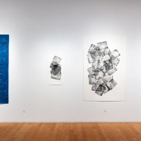 Exhibition View, Indexing Nature, Christine Nguyen and Chris Oatey. Courtesy of the artist and David B. Smith Gallery