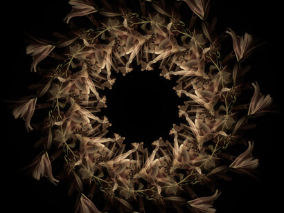 Doug Foster, Fortuna’s Wheel, 2015. Video installation.