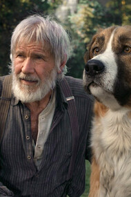 Fotograma de la película «La llamada de la selva», 2020, protagonizada por Harrison Ford