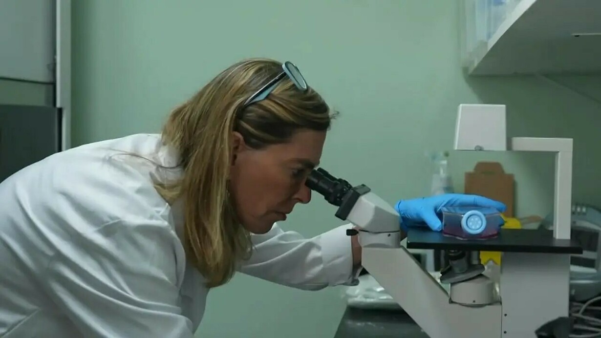 Tatiana Coelho de Sampaio. Criada a partir de proteínas extraídas da placenta humana, a polilaminina pode ser aplicada diretamente na área lesionada da medula espinhal, promovendo a regeneração dos circuitos nervosos e a recuperação das funções motoras anteriormente comprometidas