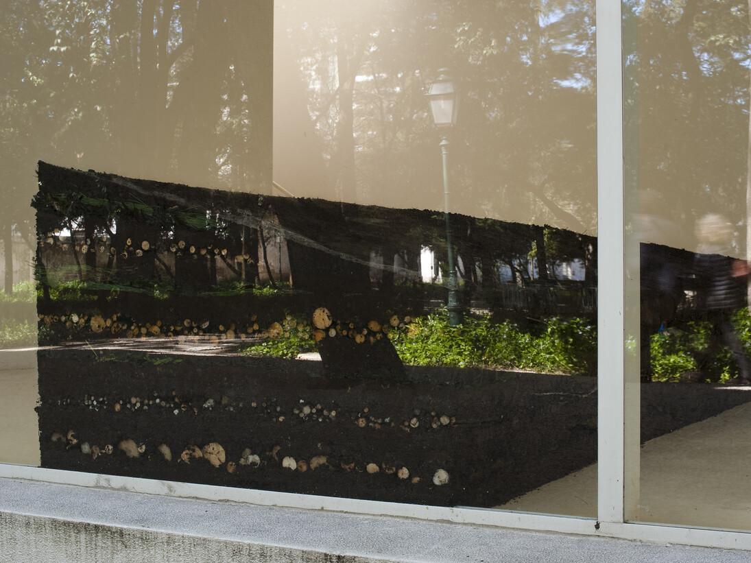 Gabriela Albergaria, Couche Sourde, 2014, soil, tree leaves and branches, Variable dimensions. Photo courtesy of the artist