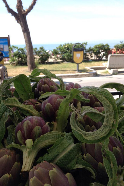 CastigliondiPrimavera