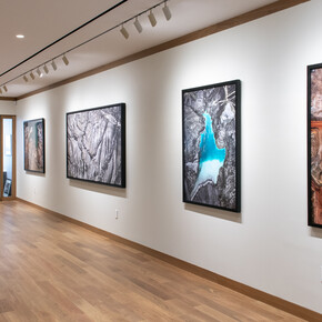 Edward Burtynsky, Natural commodities, exhibition view. Courtesy of Howard Greenberg Gallery