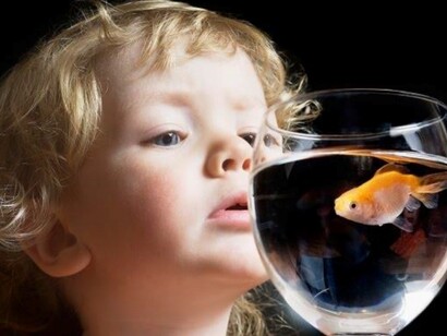 Um menino que olha um peixe