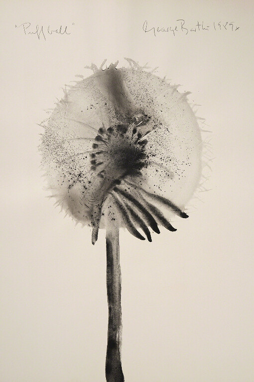 George Bartko. Courtesy of Imlay Gallery