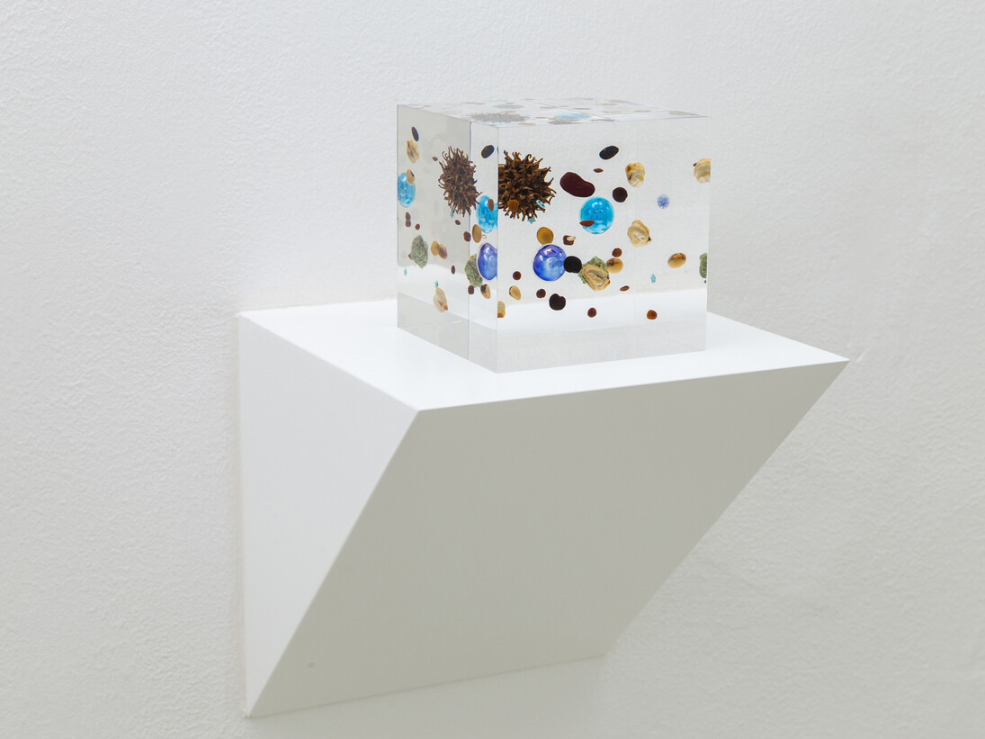 Satoshi Hirose, Beans Cosmos, 2014, resina acrilica, legumi, oro, mappa, marmo, plastica, frutto di Liquidambar styraciflua, 10 x 10 x 10 cm, Courtesy Galleria Umberto Di Marino, Napoli, Italy,
foto Danilo Donzelli
