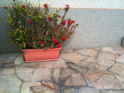 Home garden, Tangier, photo Claudia Zanfi
