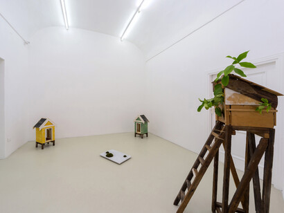 Satoshi Hirose, Heteronym, 2015, exhibition view,
Courtesy Galleria Umberto Di Marino, Napoli, Italy,
foto Danilo Donzelli
