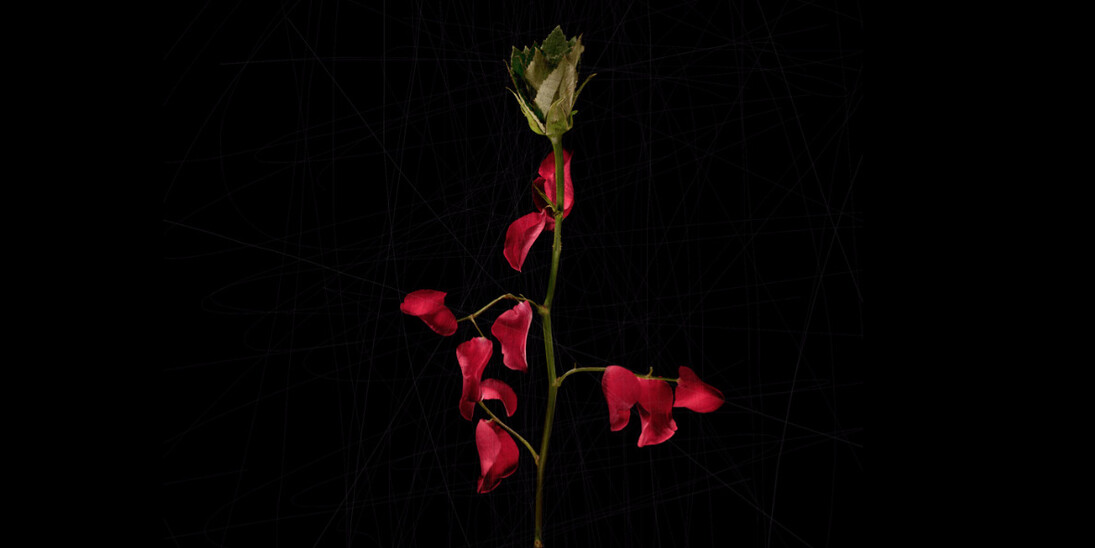 Re-Creation. Courtesy of Barbara Frigerio Contemporary