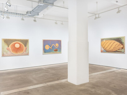 Martyn Cross, Of oil and Earth, exhibition view. Courtesy of Hales Gallery