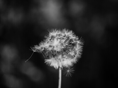 Il respiro è studiato e praticato consapevolmente da sempre in tutte le discipline spirituali