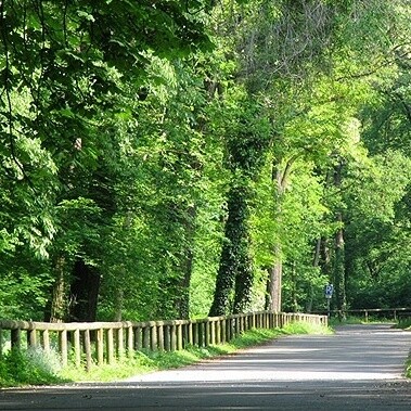 Parco di Monza, Italia