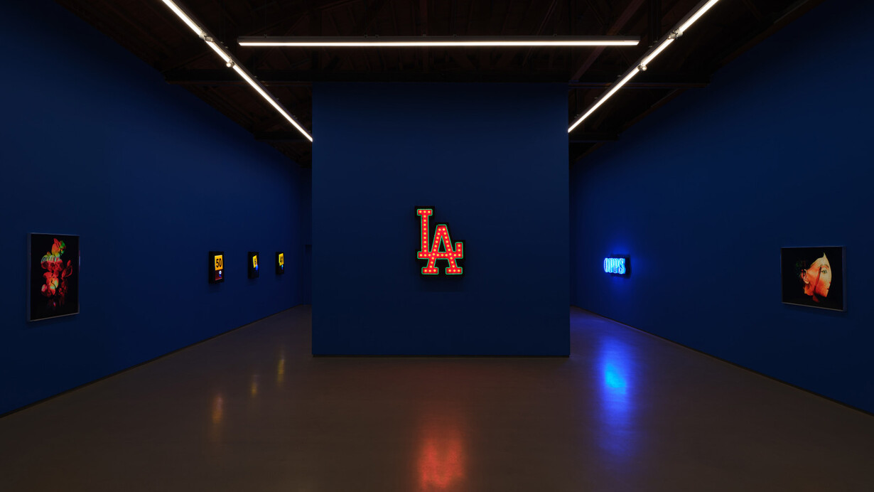 Awol Erizku, Moon, turn the flames…Gently gently away, exhibition view. Courtesy of Sean Kelly Gallery