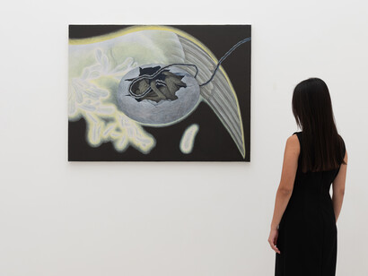 Isaac Soh Fujita Howell, Malign influence on the information interchange, vista della mostra. Cortesia di T293