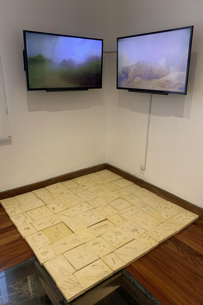 Diana Barquero; Sin título, del proyecto «De bichos y bestias en la conquista de los suelos», 2022. Foto cortesía de la curadora Natalia de la Rosa