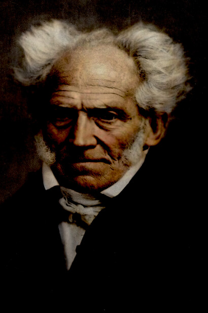 Schopenhauer criticará la noción común de «libre albedrío», defendiendo la Voluntad como principio irreductible e independiente, presente en todas partes: en las formas de la naturaleza inorgánica (sujetas al mecanicismo de la causalidad), en las formas de la naturaleza orgánica (estímulos o instintos inconscientes) y en las formas de la conciencia, donde causa y estímulo son sustituidos por los «motivos»
