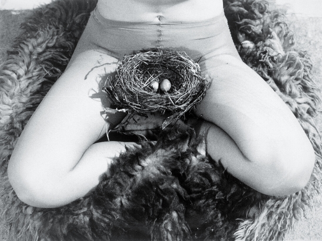 Birgit Jürgenssen, Nest, 1979 SW-Fotografie © Estate of Birgit Jürgenssen  Bildrecht, Wien, 2015  Sammlung Verbund, Wien