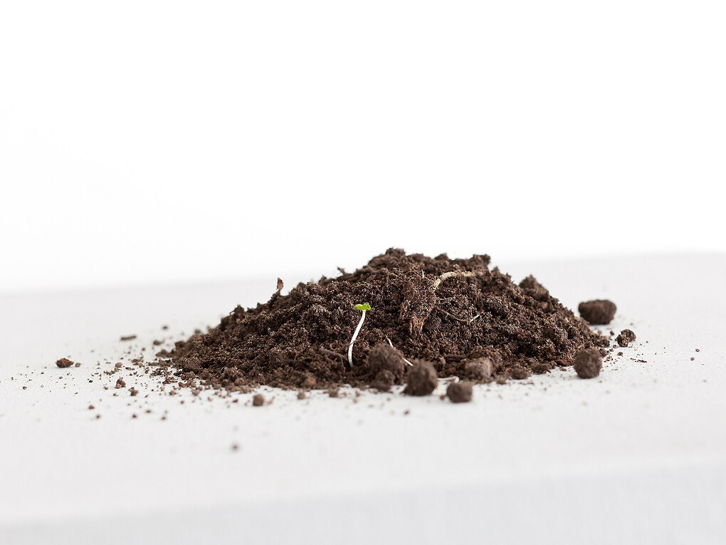 Ruth Ewan, Topsoil from A Revolutionary Advent Calendar