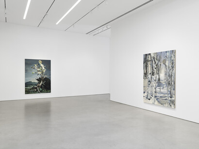 Emma Webster, Rues and leaves themselves alone, exhibition view. Courtesy of Petzel Gallery