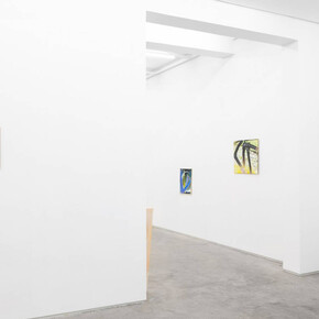 Santiago de Paoli. Courtesy of Mendes Wood DM