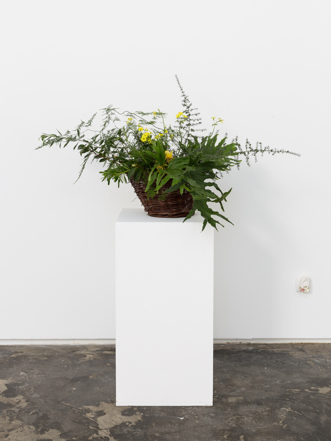 Lucía Prancha, Perseguindo o invisível, 2015. Foto: Bruno Lopes