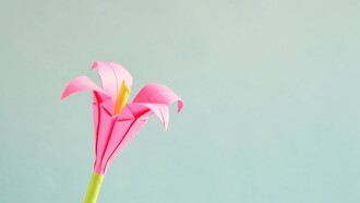 Flor de origami