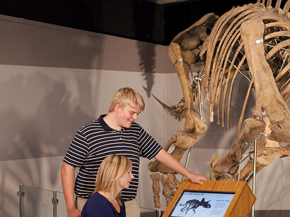 Colossal Fossil. Courtesy of Museum of Science 