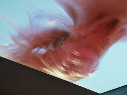 Pipilotti Rist. Courtesy of Museum Boijmans Van Beuningen