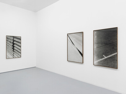 Tito Mouraz, Selva oscura, vista da exposição. Cortesia de 3+1 Arte Contemporânea