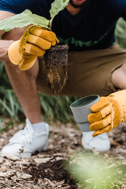Professor ensina sobre o plantio ecológico em quintal de uma escola pública brasileira
