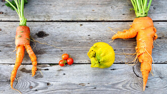Please Love ‘Ugly’ Fruit!