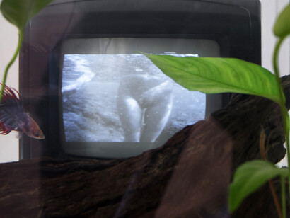 Luna Joyy & Bruno Osif. Courtesy of Zahorian & Van Espen