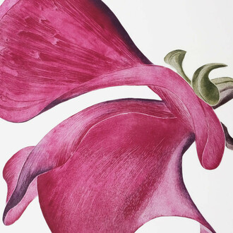 Gráinne Cuffe, Etching, 114 x 108 cm. Courtesy of Graphic Studio Gallery