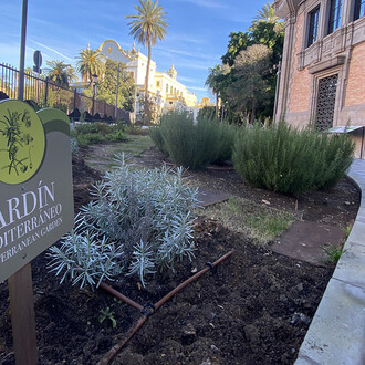 Paseos verdes. Los jardines y el cambio climático, vista de exhibición. Cortesía de Casa de la Ciencia