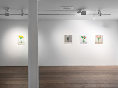 Ruozhe Xue, Chronoscape, exhibition view. Courtesy of rosenfeld gallery