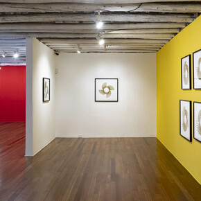 Esteban Peña Parga, Drawings in pencil, exhibition view. Courtesy of Nueveochenta Gallery