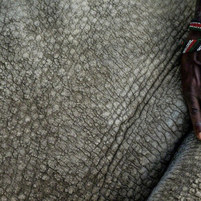 Justin Mott. Courtesy Anastasia Photo