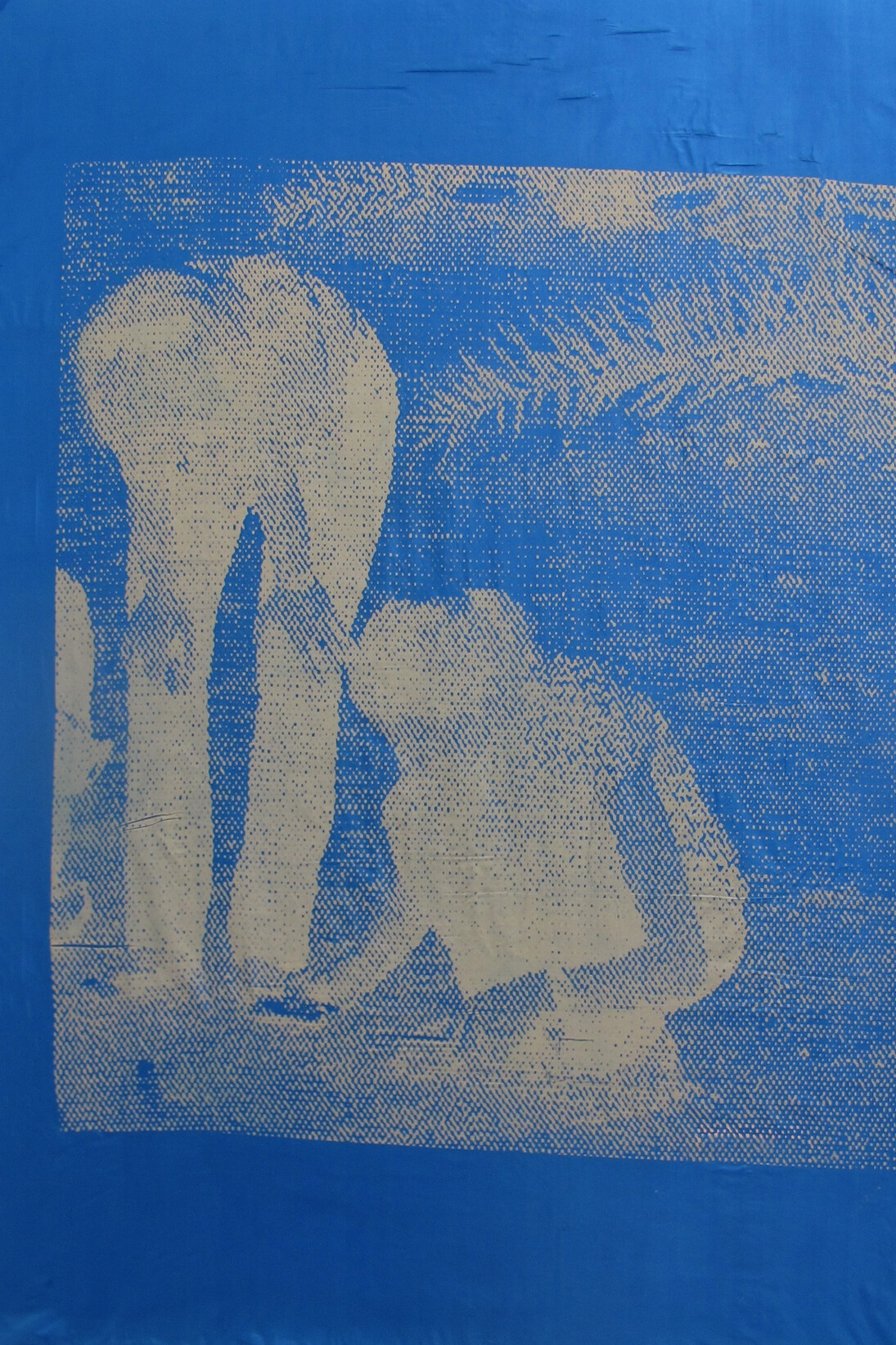 Katharina Marszewski, Screen in Mechanical Bluish, 2015 © Katharina Marszewski. Courtesy the artist and l’étrangère
