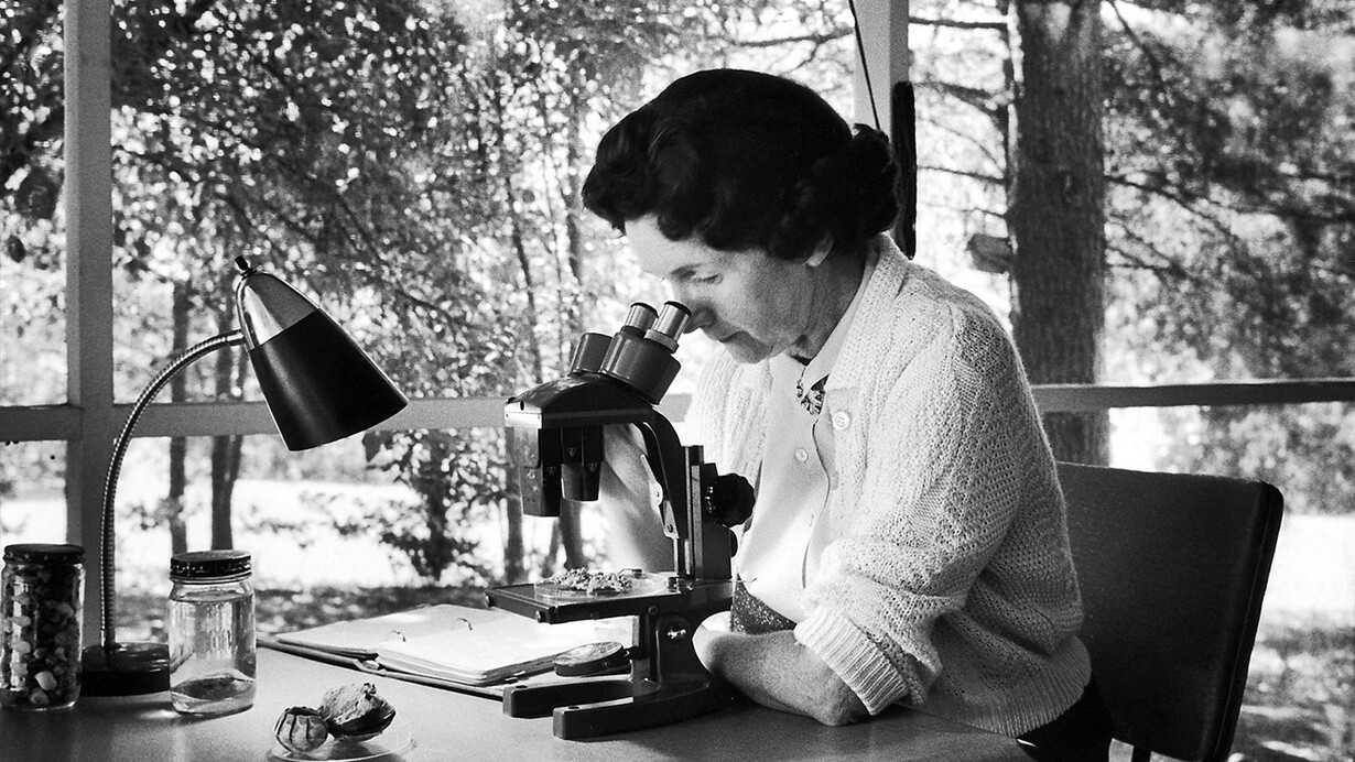 Rachel Carson, al suo lavoro scientifico e al suo pensiero si sono ispirate tutte le associazioni ecologiste