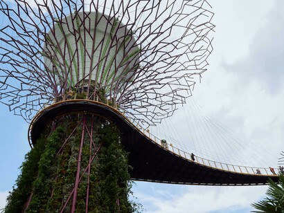 Gardens by the Bay, Supertree Grove, Singapore