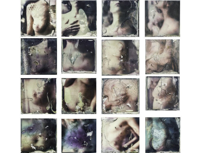 Margherita Chiarva, Transfert TR 0 (Composition of a woman), 2015, 22 x 22 cm each (16 frames) © Margherita Chiarva