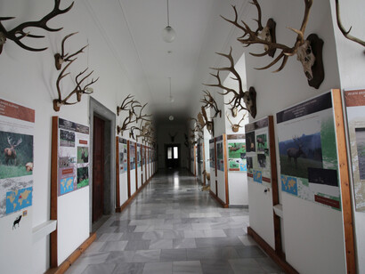 The Sallač Collection. Courtesy of National Museum of Agriculture