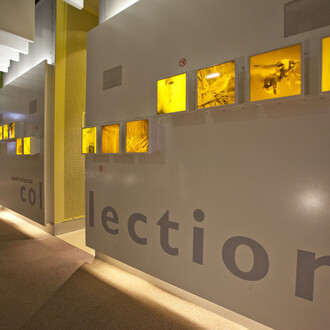 Sounds. Courtesy of Cité des Sciences et de l'Industrie