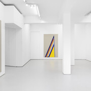 Magda Delgado, The sprouting of pernicious beings and other blessed infestations, exhibition view. Courtesy of No-No Gallery