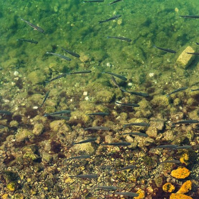 Alcuni luoghi non aspettano il nostro ritorno. L'acqua scorre, i ricordi restano