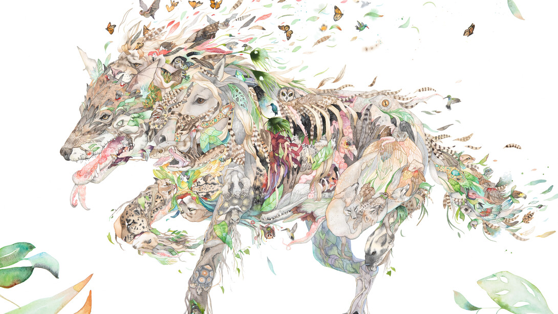 Laura Ball
Red Wolf
2018
watercolor, graphite, gold foil, acrylic polymer
32 x 44 in. (81.28 x 111.76 cm)