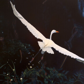 Diane Andrews Hall. Courtesy of Rena Bransten Gallery 