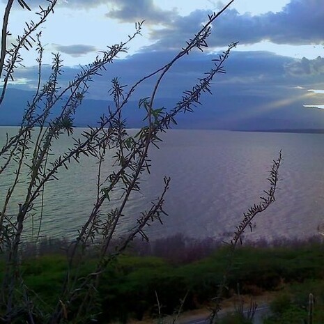 El lago tiene una extensión aproximada de 375 km², aunque esta superficie ha variado en los últimos años debido a cambios en los patrones de lluvias y la evaporación